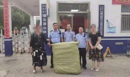 女子青协爆料新闻视频播放,揭秘背后惊人真相