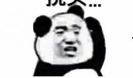 张小寒最新爆料向佐后续,张小寒独家爆料，神秘女友引热议