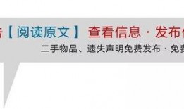 金凤万达爆料最新消息,揭秘项目进展与未来规划！