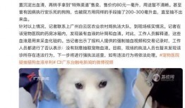 武汉宠物爆料事件视频曝光,事件背后真相引发热议
