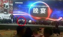 瑞辉高管爆料视频造假,揭秘真相背后的惊人内幕