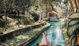 巴厘岛命案国外爆料视频