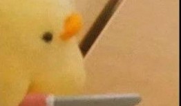 网红吃瓜表情包,趣味横生的网络文化现象