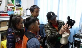 刘团长内部爆料视频大全,揭秘视频大全背后的惊人真相