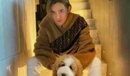 小猪娱乐爆料号怎么看,独家内幕大公开