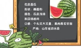 江南吃瓜小说119集免费阅读,揭秘剧情高潮，免费阅读抢先看