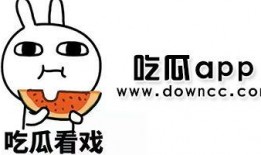 吃瓜网红视角下载安装,轻松下载安装，解锁娱乐新姿势