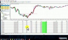 南京杆子爆料视频,一窥城市生活百态