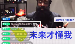 哈登爆料王猛视频播放全集,王猛视频全记录，篮球智慧与激情碰撞