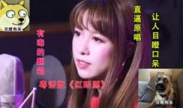 囡囡粤语在线观看,重温经典粤语喜剧的魅力