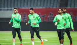 国安最新爆料世界杯预测,世界杯预测风云再起，谁能问鼎巅峰？