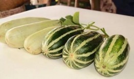 各种网红吃瓜群,揭秘娱乐圈幕后风云