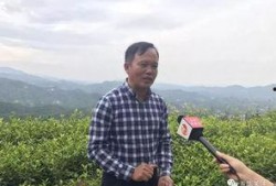 华南农业爆料最新消息,最新动态揭秘，行业变革即将到来！