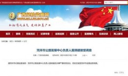 贵港爆料新闻事件最新,警方全力追查真相