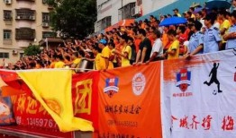 球队最新爆料视频大全,最新爆料！揭秘球队幕后精彩瞬间