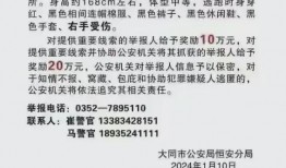 山西人最新爆料,揭秘神秘事件背后的真相