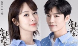 杨紫肖战伴舞爆料最新,一场精彩绝伦的舞蹈盛宴