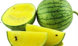 网红旅游吃瓜走红图片大全,盘点那些爆笑走红图片大全