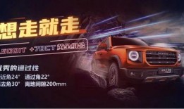 大狗哈弗爆料视频播放下载,独家下载解析