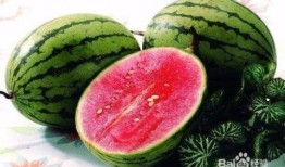 娱乐吃瓜和导演吃瓜区别,揭秘幕后真相的两种视角