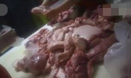 臭肉在线观看,揭秘网络直播的另类魅力