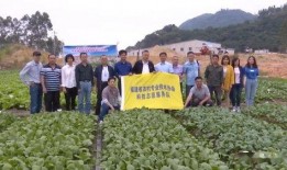 木偶师技能爆料视频播放,视频爆料带你领略指尖上的艺术魅力