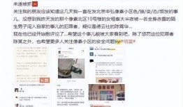 孟贺最新爆料新闻事件,揭秘最新新闻事件背后真相