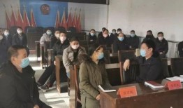 王庄最新爆料消息视频,揭秘视频背后的惊人真相