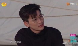 吴磊爆料张翰现状视频下载,转型幕后，生活低调