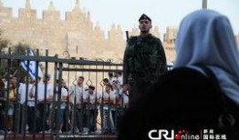 圣城在线观看,穿越时空的圣城之旅