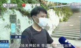 网红吃瓜的观众主要群体是谁,年轻观众群体的狂欢盛宴
