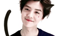 小鹿爆料娱乐圈,小鹿揭露明星幕后故事