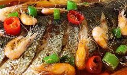 臭鱼烂虾爆料视频播放大全,精彩内容抢先看