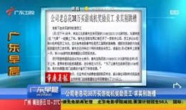 广东新闻珠江台爆料视频,广东新闻热点事件深度解析