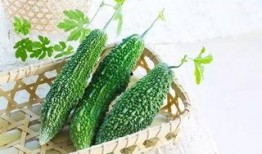 微胖网红吃瓜,揭秘娱乐圈幕后真相