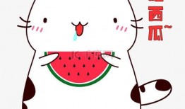 吃瓜表情包素材免费制作,揭秘吃瓜表情包背后的趣味与智慧