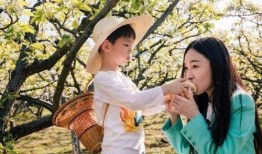 浙江母子相互爆料视频,家庭矛盾背后真相揭晓