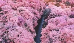 风景最新爆料文案图片,风景最新爆料，绝美瞬间尽收眼底