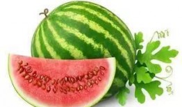 微胖网红吃瓜,揭秘娱乐圈幕后真相