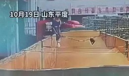 青岛啤酒视频爆料事件,揭秘行业幕后真相