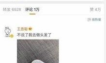 卓伟爆料杨幂买房视频播放,卓伟揭秘明星豪宅生活