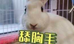 吃瓜爆料抖音网红搞笑