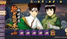 忍者副本爆料大全最新版,最新版深度解析，揭秘神秘副本攻略