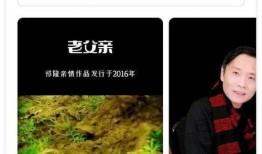 乐凡爆料视频大全集,揭秘幕后真相，带你走进事件核心