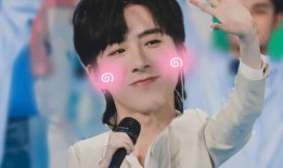 抖音爆料刘宇宁事件视频,真相与争议