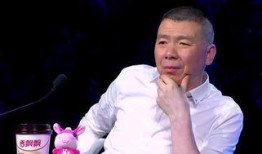 刘震爆料冯小刚视频全集,全集内容深度解析