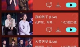 潮音战绩在线观看,在线观看，揭秘音乐偶像的辉煌历程