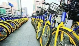 安阳自行车爆料视频曝光,揭秘城市交通新现象