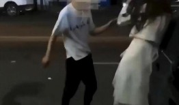 妻子街头爆料视频大全集,妻子揭露婚姻真相，视频大全集引发热议