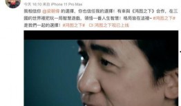 变声爆料娱乐圈大佬,变声爆料背后的真相